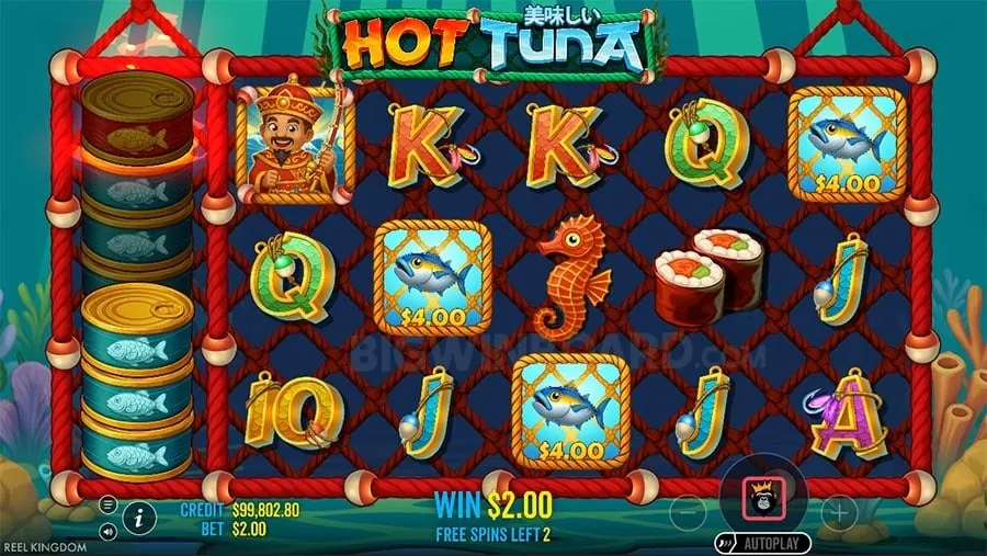 Live Dealer Game Guide